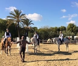 ThemeecoGroup-equestrian-team-cleanenergy